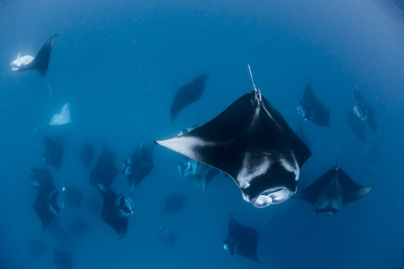 mejores islas Maldivas snorkel