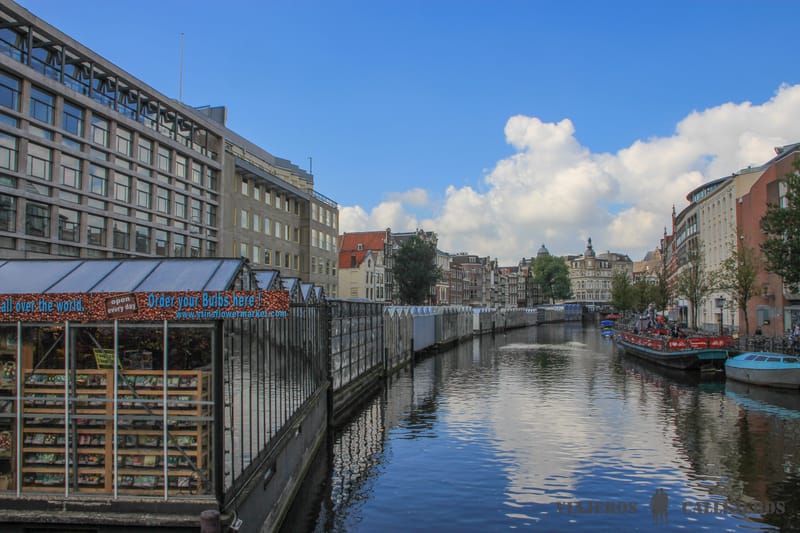 Mercado de las Flores en la ruta por Ámsterdam en 3 días
