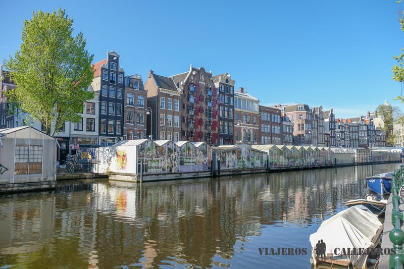 Mercado de las Flores en la ruta por Ámsterdam en un fin de semana