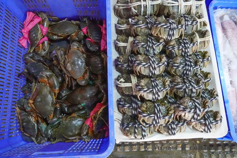 Mercado nocturno que hacer en phnom penh