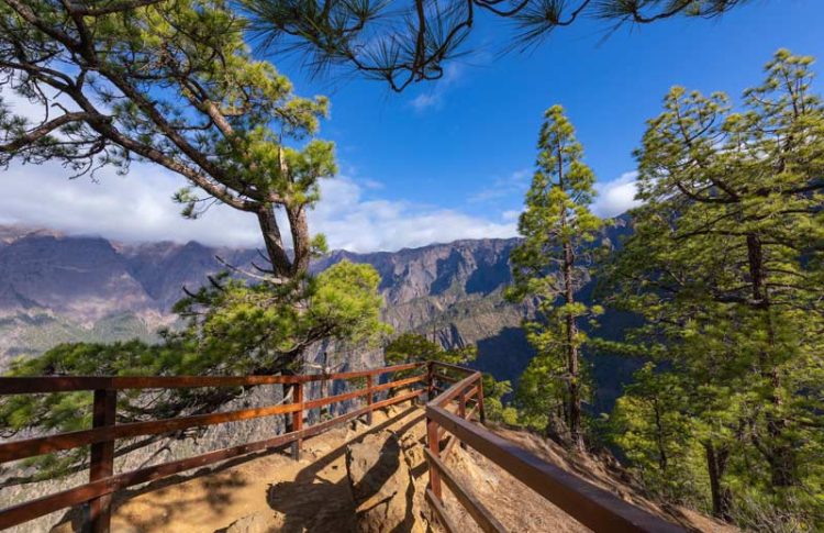 Mirador de la Cumbrecita, que visitar en La Palma