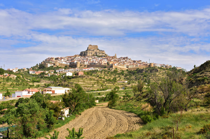 morella