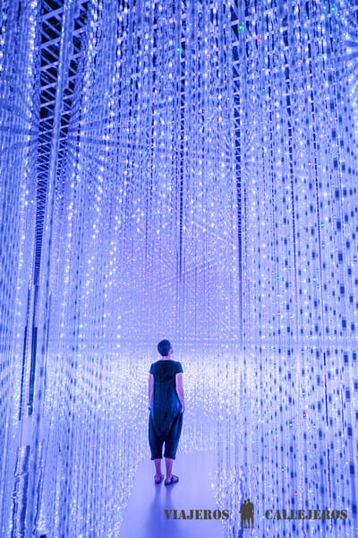 Museo de Arte y Ciencia que ver en singapur