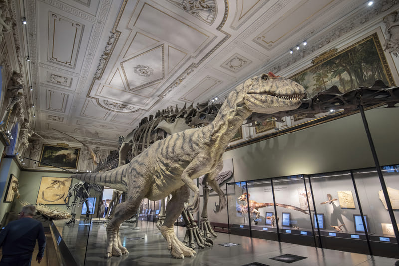 museo de historia natural que hacer en viena