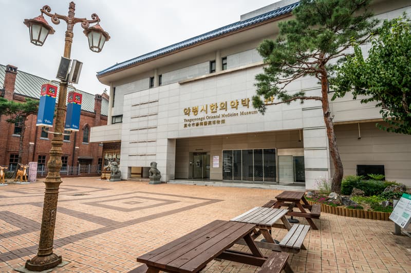 Museo de Medicina Tradicional uno de los lugares que ver en Daegu