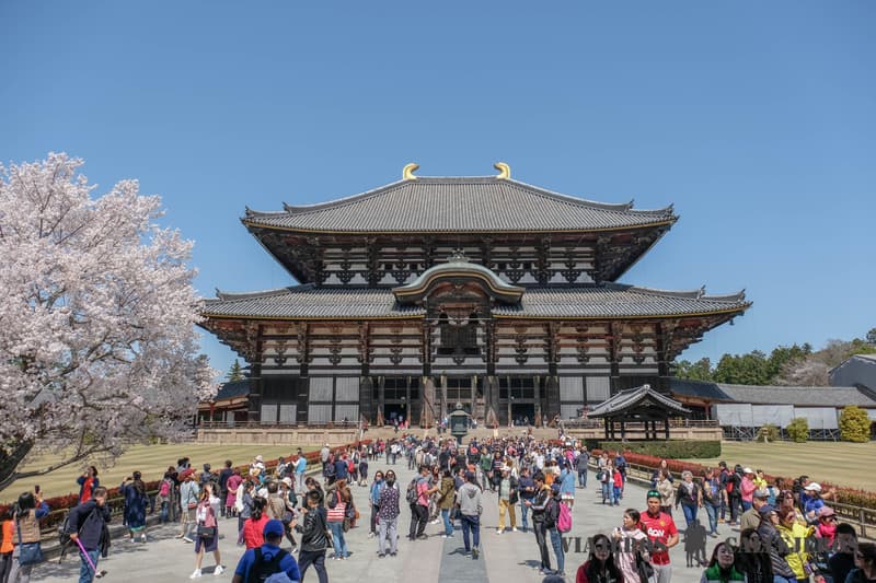 Nara en la guía de Japón