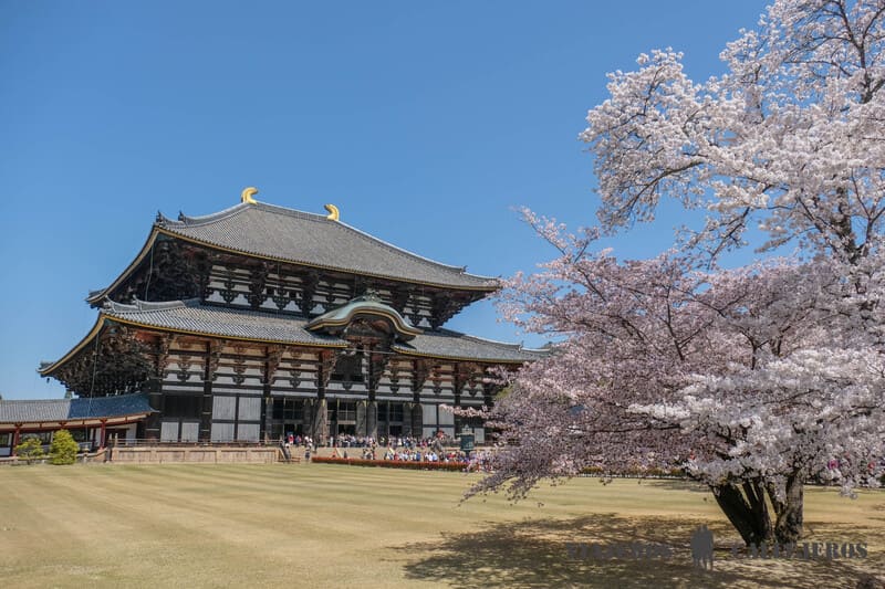 nara japón