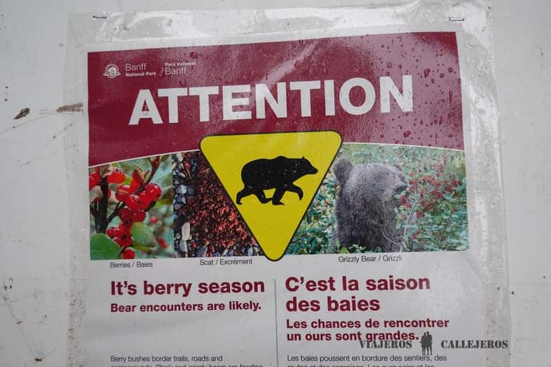 Cartel presencia de osos en la zona