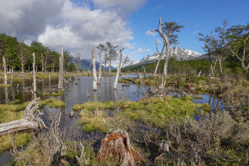 Paisajes de Ushuaia en la guía de Argentina