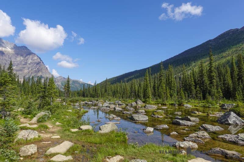 Paisajes del Parque Nacional de Banff