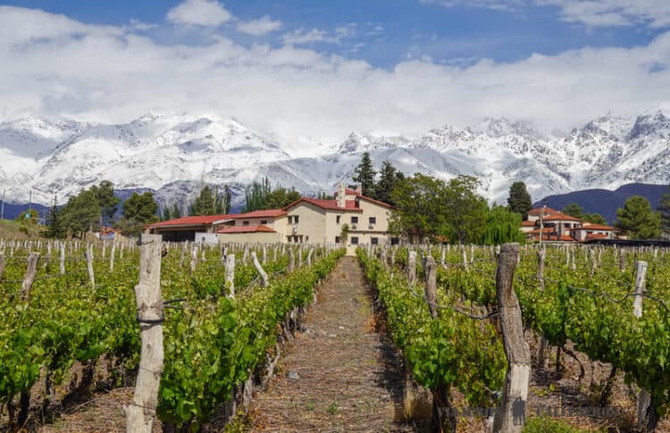 Mendoza en la guía de Argentina