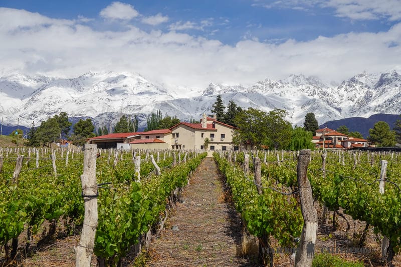 Mendoza en la guía de Argentina