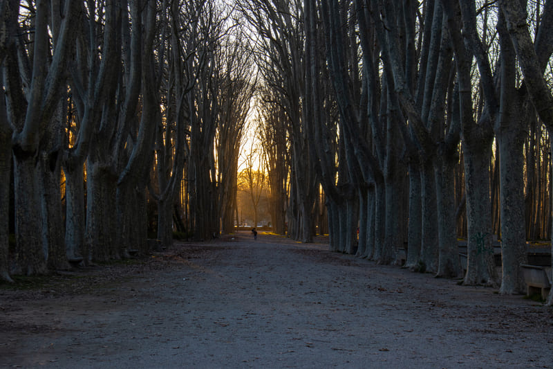 parque devesa girona