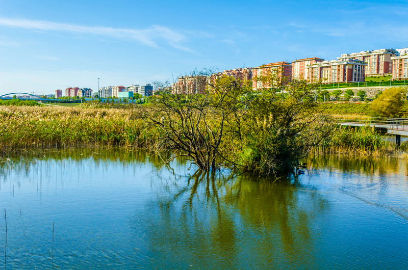 parque de las llamas