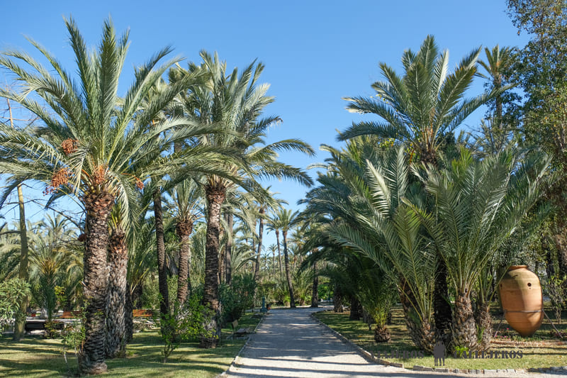 parque municipal elche