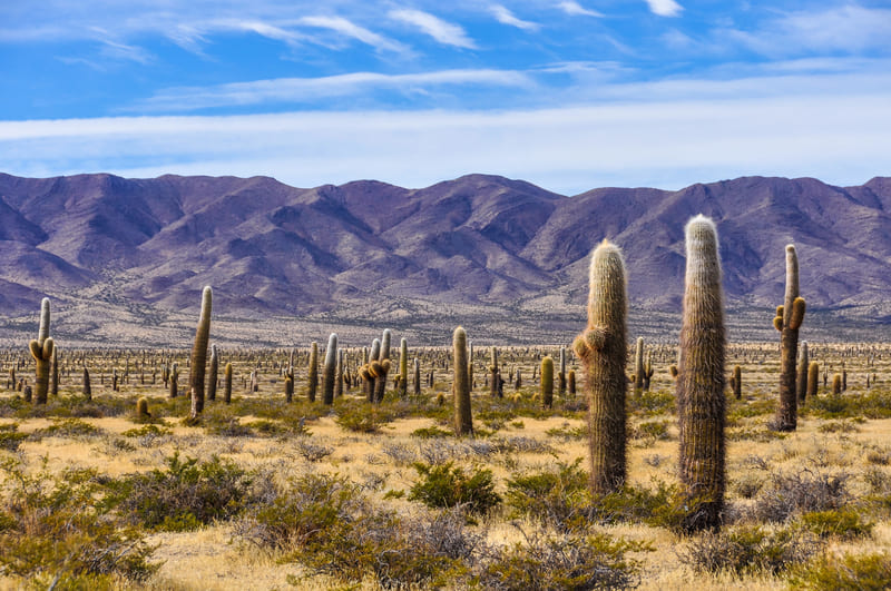 parque nacional cardones