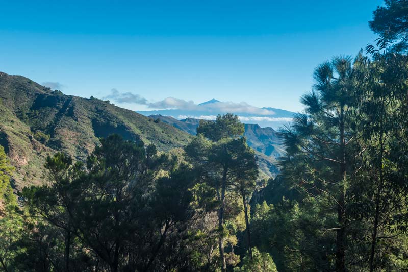 Parque Nacional de Garajonay, que hacer en La Gomera