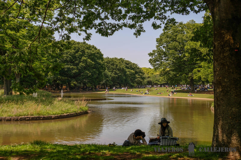 parque yoyogi que hacer en tokio