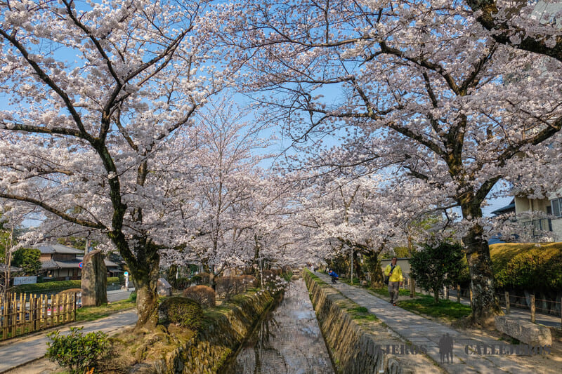 paseo filiosofia que hacer en Kioto