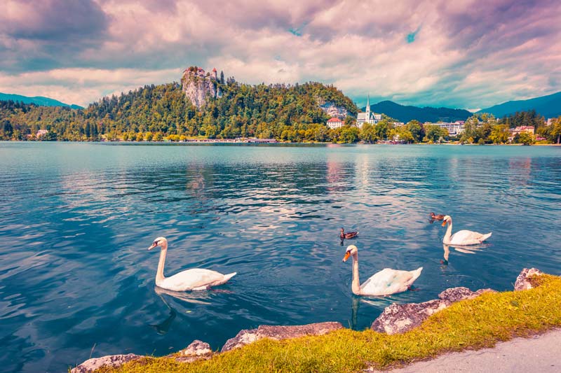 Paseo por el Lago Bled