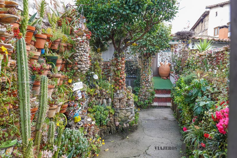 patio cactus hervas caceres