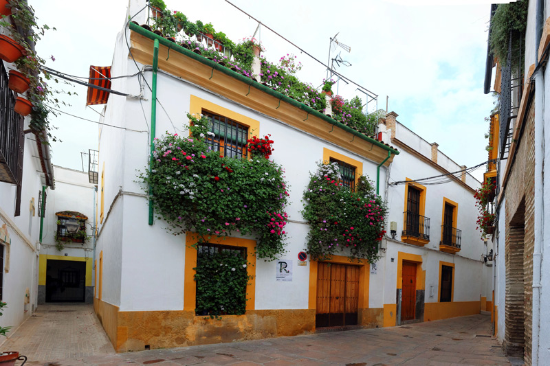 Concurso de Rejas y Balcones