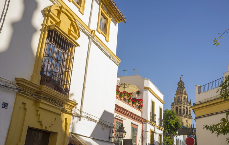 Patios de Córdoba en invierno