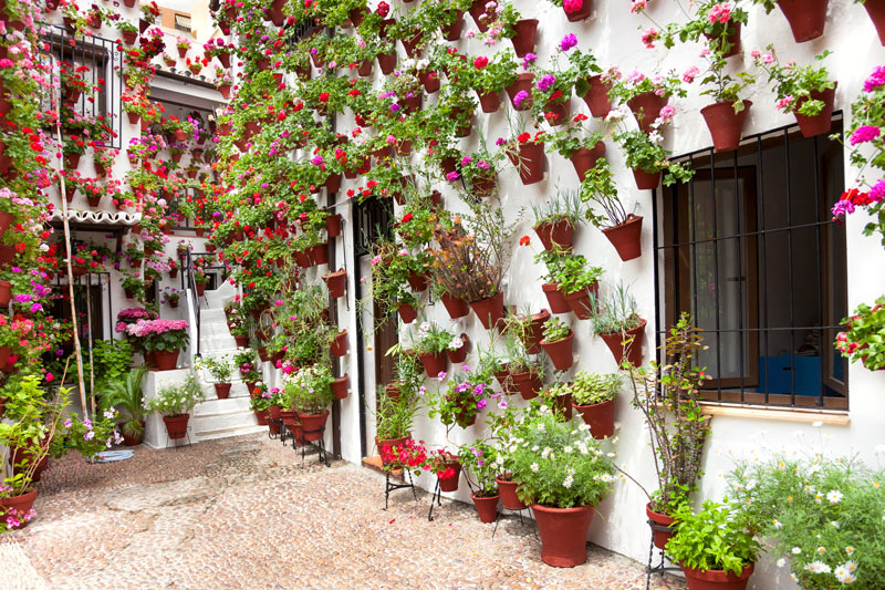 Consejos patios de Córdoba