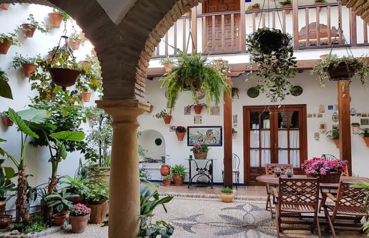 Hacer una visita guiada por los patios de San Basilio es todo un acierto