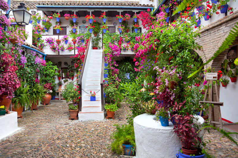 Asociación de Amigos de los Patios Cordobeses