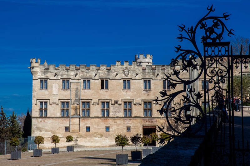 Petit Palais, uno de los lugares que ver en Avignon