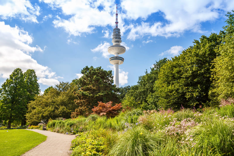 planten blomen hamburgo