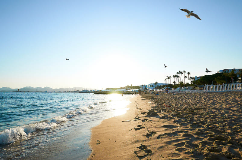 Playas de Cannes