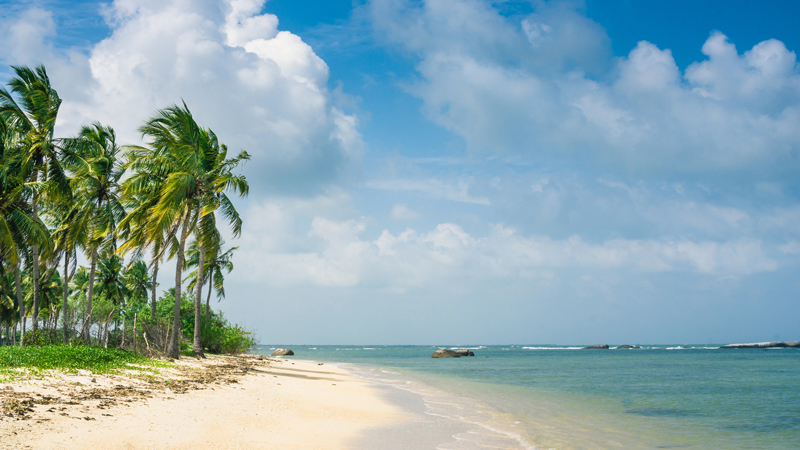 Playas bonitas de Sri Lanka: Pasikuda