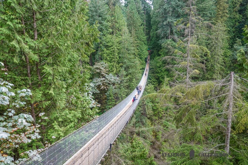 puenta capilano canada