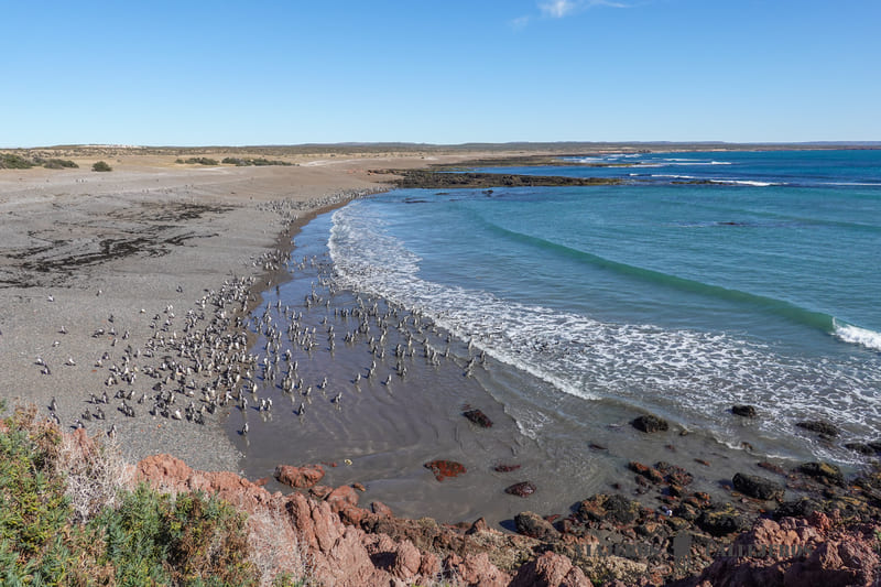 punta tombo que hacer en puerto madryn