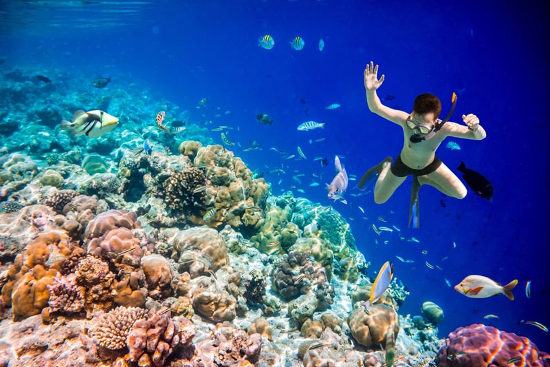 snorkel Maldivas