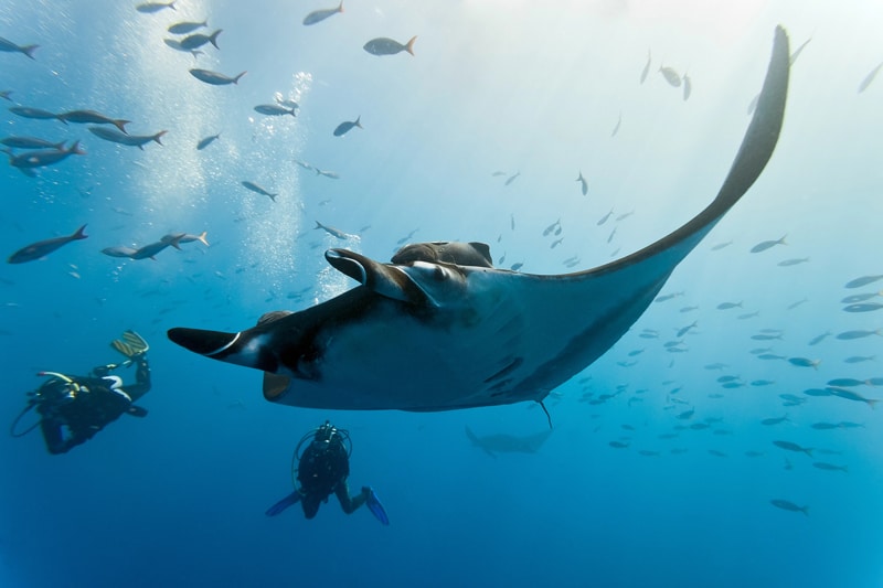 buceo en Maldivas