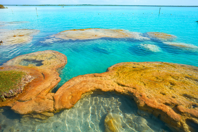Estromatolitos en Bacalar