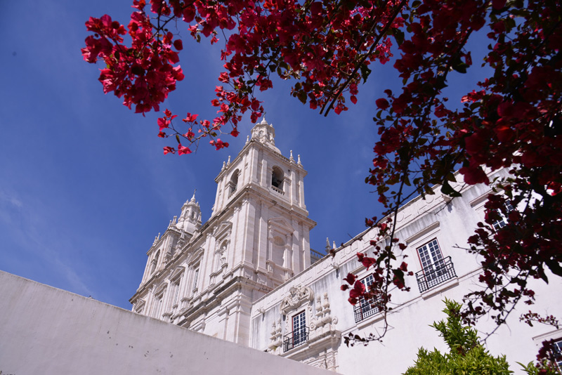 Iglesia de San Vicente de Fora