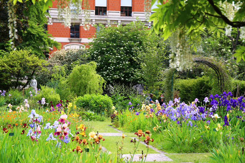Jardín de las Plantas de París