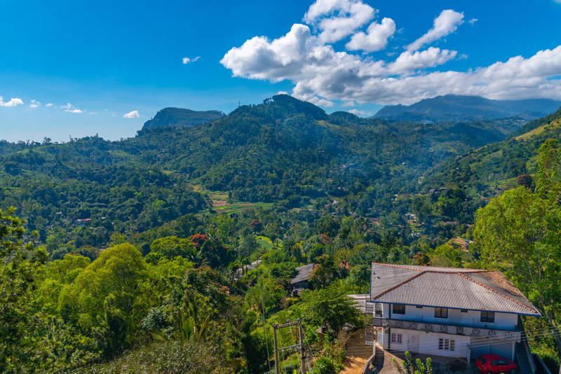 Uva Halpewatte Tea Factory, una de las plantaciones de té que ver en Ella