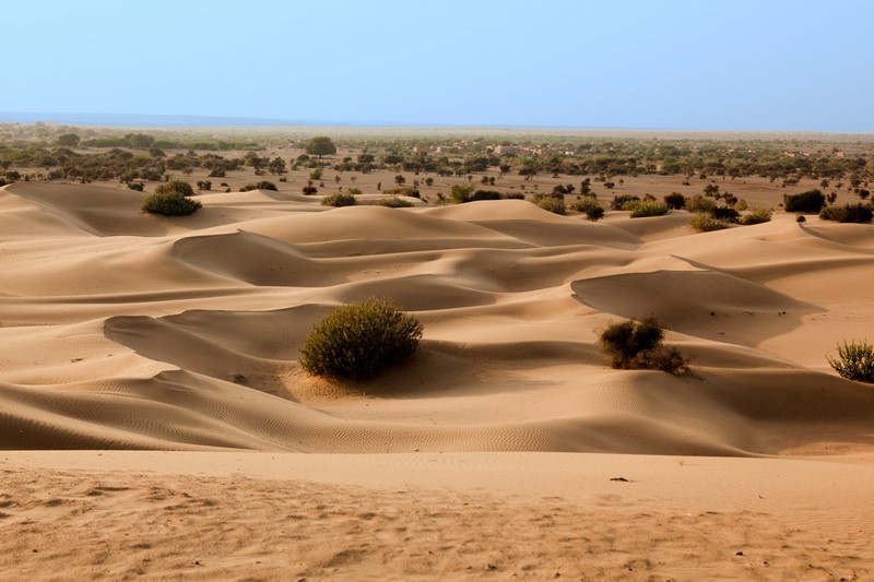 Desierto de Thar