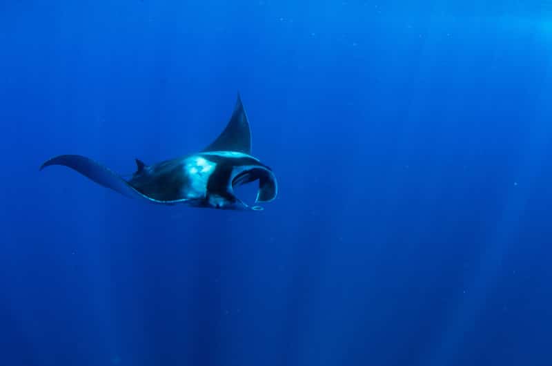 Buceo en Koh Lanta