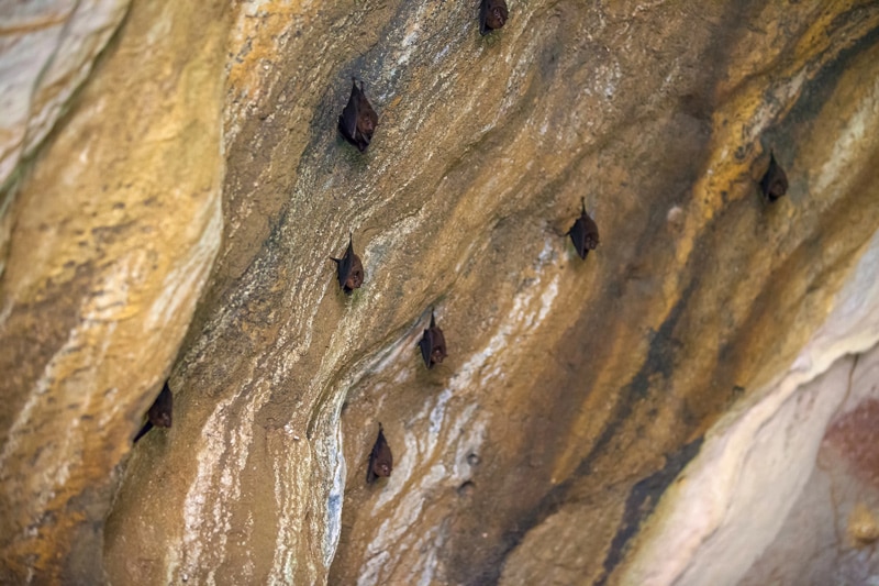 Tham Khao Mai Khew cueva Koh Lanta que ver