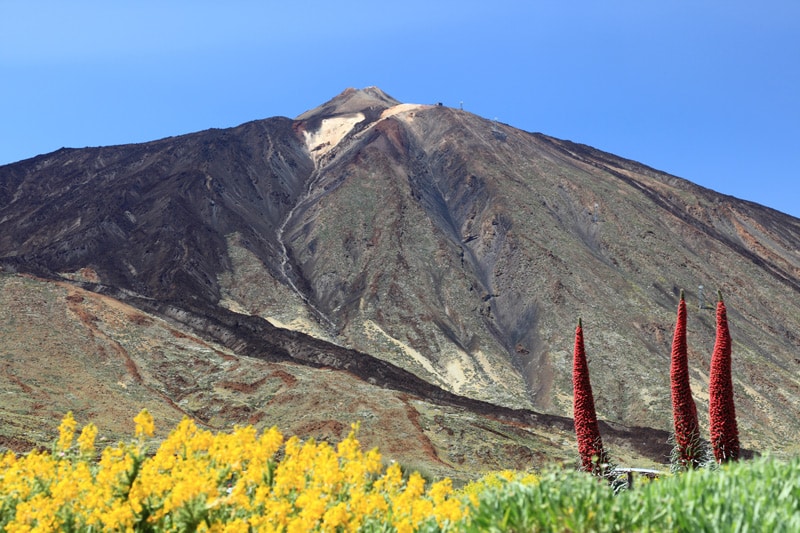 Excursiones que hacer Los Cristianos