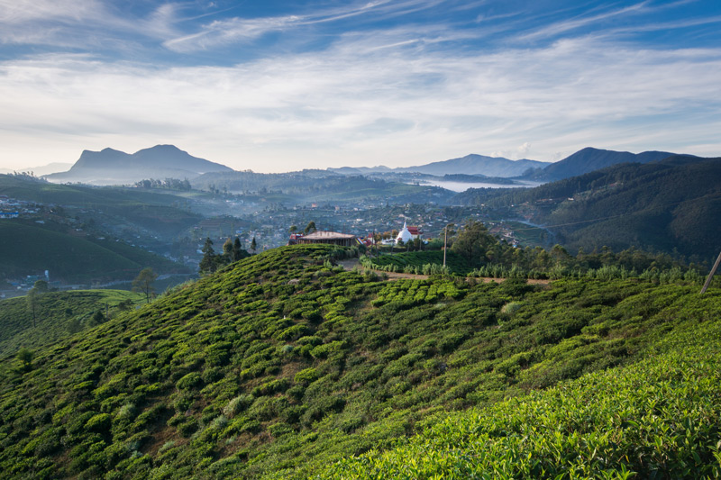 Single Tree Hill en Nuwara Eliya en Sri Lanka