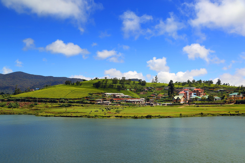 Gregory Lake que ver Nuwara Eliya