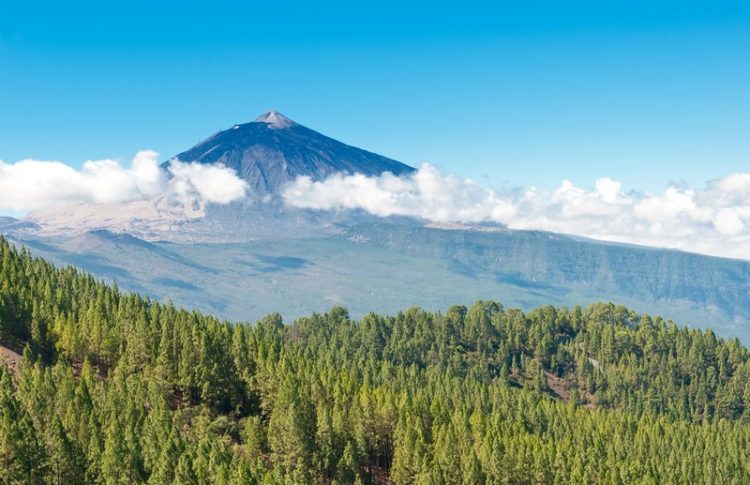 quรฉ ver en Tenerife imprescindibles