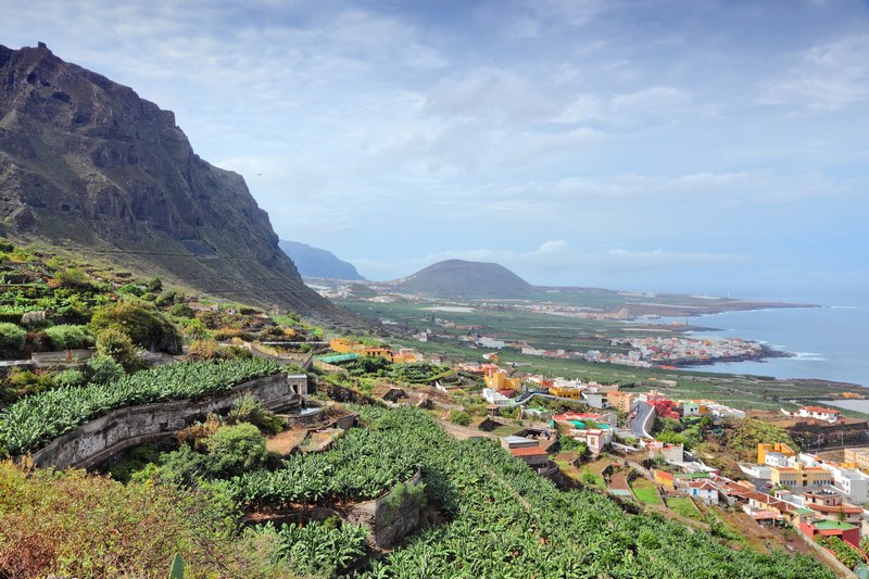 plantaciones plรกtano Tenerife